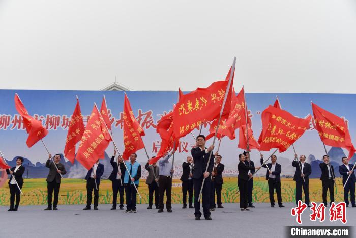广西基层人大代表用议案推动当地乡村产业兴旺