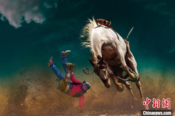 图为焦生福的作品《摔》。 青海省祁连山自然保护协会供图