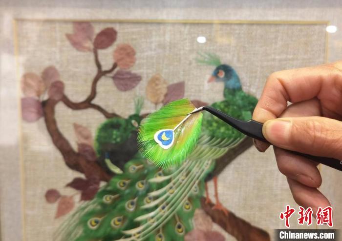 麦秆画制作较难的一步，是用剪刀将其修剪得纤细如丝，并用镊子粘至画中。图为麦秆制作的孔雀羽毛。　闫姣 摄