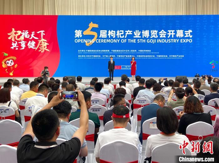 开幕式现场。 杨迪 摄