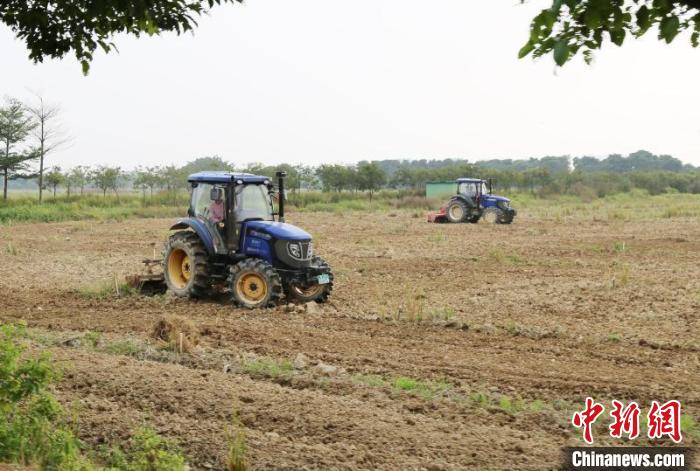 广东遴选十大乡村振兴示范带安排10亿元用于奖励