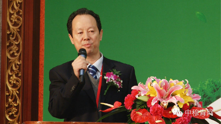 马明良:中国穆斯林需要补课吗?补什么?